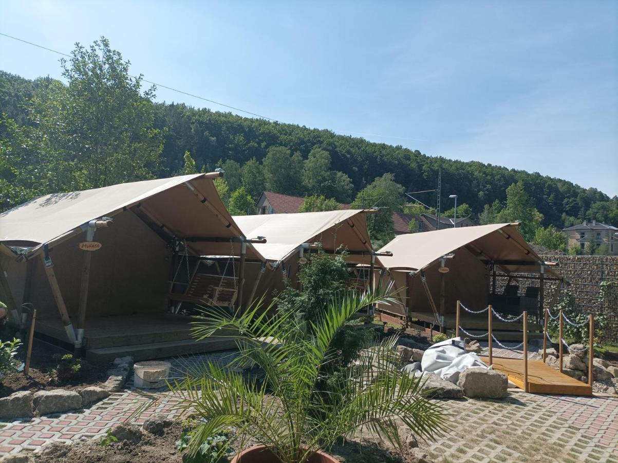 Campingplatz Am Treidlerweg Hotel Konigstein an der Elbe Exterior photo